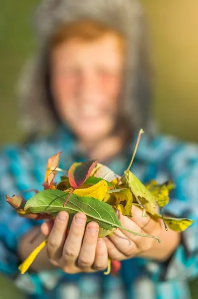 20 métodos efectivos contra hormigas para proteger tu cosecha