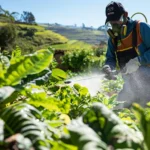 2×1 Insecticida y Fungicida contra el Mildiu y el Pulgón, soluciones eficaces para tu cultivo