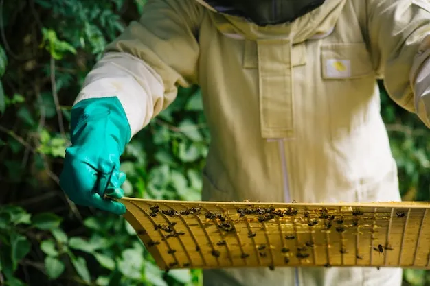 6 trampas para atrapar sin matar plagas de la huerta, técnicas efectivas