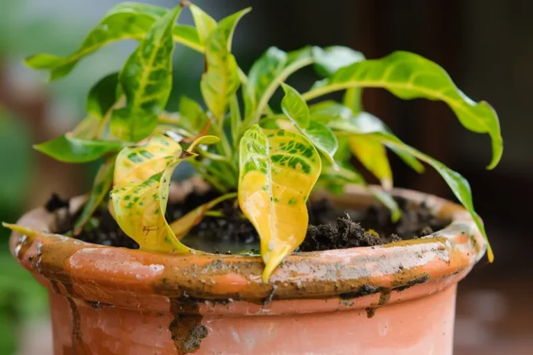 7 síntomas para saber si estás regando tus plantas en exceso