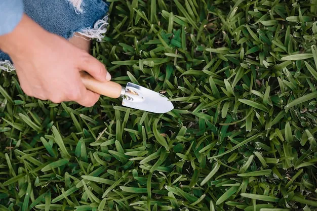 Aceite de neem y su papel como insecticida en el cuidado del huerto