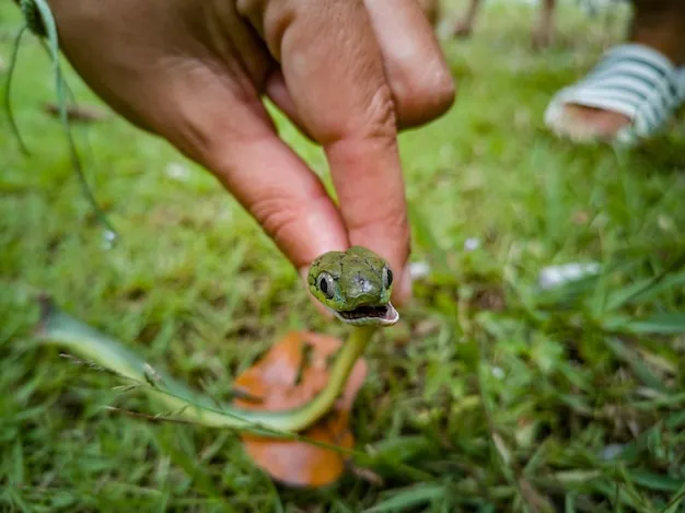 cómo atraer sapos y ranas a nuestro huerto para un control natural de plagas