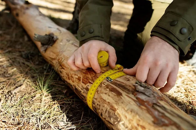 Cómo combatir el pulgón de la madera en los árboles, estrategias efectivas