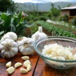 Cómo hacer fungicida con ajo para combatir hongos fácilmente