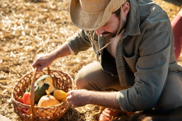 crisopas en la huerta, cómo atraerlas y sus beneficios