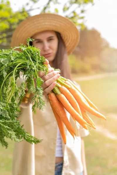 Cultivar zanahorias, cómo manejar plagas y encontrar remedios efectivos