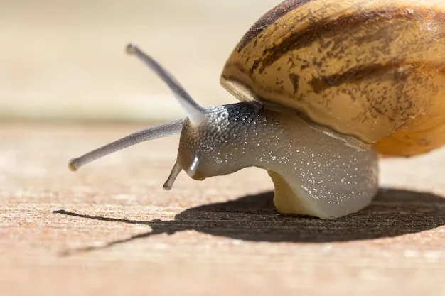 El Depredador de Caracoles y Babosas, descubre cómo el Caracol Degollado controla plagas