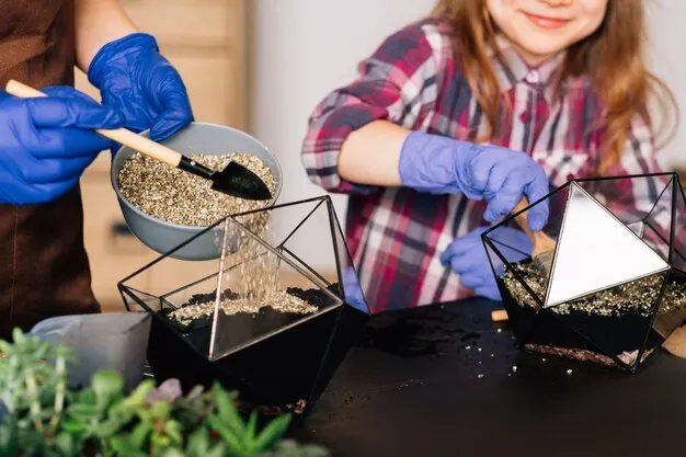 10 Abonos Caseros para Plantas y Fertilizantes Ecológicos que Podemos Hacer en Casa