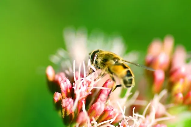 10 plantas que atraen abejas y otros polinizadores para un jardín vivo