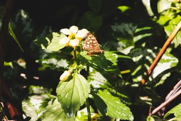 10 plantas que atraen abejas y otros polinizadores para un jardín vivo