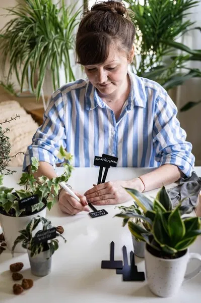 26 plantas que siempre debes poner juntas y mejoran la producción, consejos prácticos