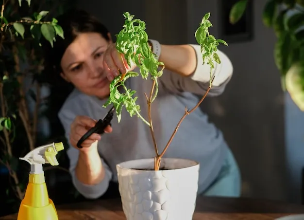 40 plantas que podemos reproducir por esqueje desde ramas, técnicas y cuidados básicos