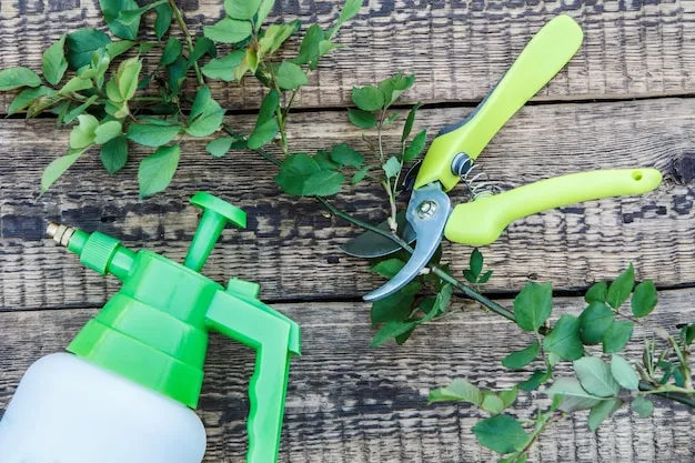 5 enraizantes caseros fáciles de preparar y eficaces para mejorar tu jardín