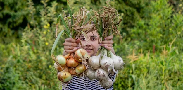 5 tips para cultivar grandes cebollas en la huerta y asegurar una buena cosecha