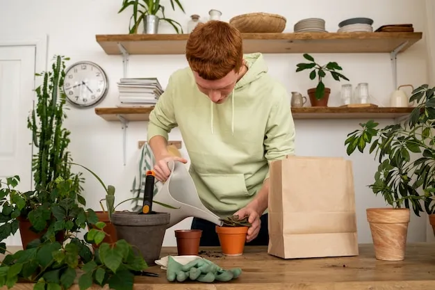 6 fertilizantes caseros que tienes en casa y no sabías, descúbrelos hoy