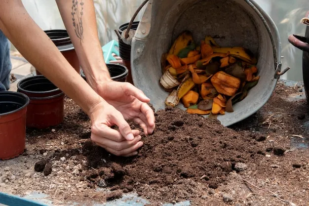 6 formas diferentes de acelerador de compost en el huerto para resultados rápidos