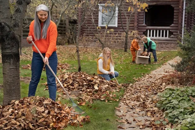 6 razones para hacer acolchado en otoño y cómo beneficia a tu jardín