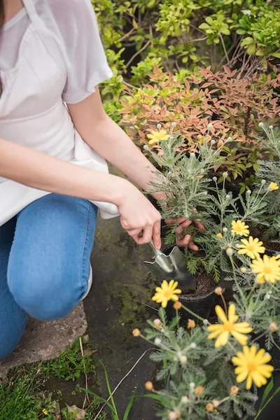 7 maneras rápidas y eficaces de acabar con las malas hierbas sin dañar tu jardín