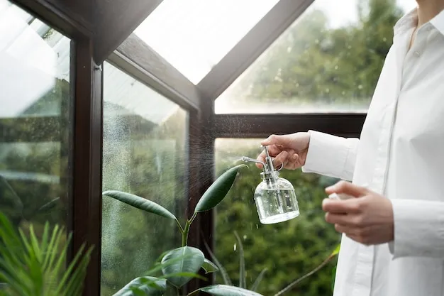 7 usos del agua oxigenada en el huerto o jardín para un crecimiento saludable