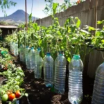 7 usos increíbles de las botellas de plástico en el huerto o jardín