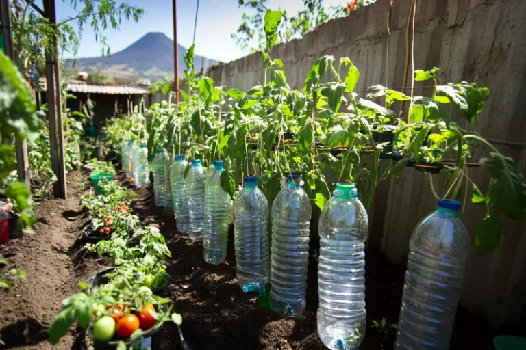 7 usos increíbles de las botellas de plástico en el huerto o jardín