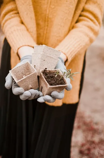 8 fertilizantes de origen natural para aportar nutrientes a tu huerta eco