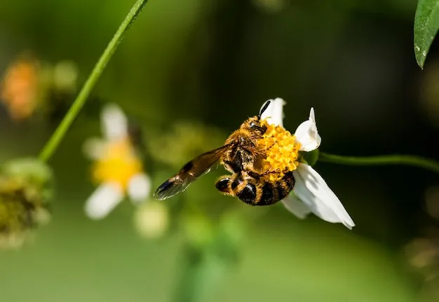 abejorros, polinizadores clave para la fertilidad del huerto y su importancia