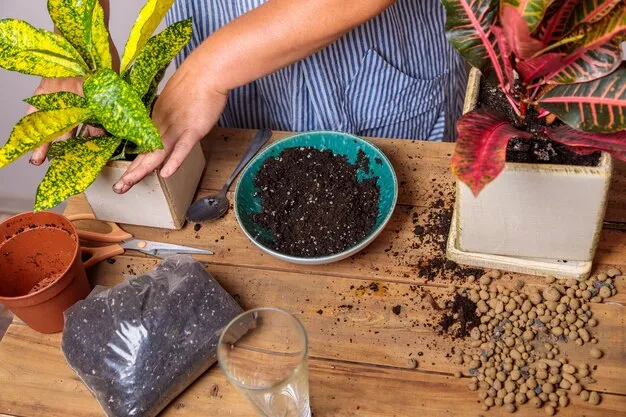 Abono verde: qué es, composición y beneficios para tu jardín