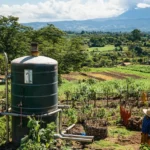 Biodigestor, cómo funciona y beneficios del biogás y biofertilizante que produce