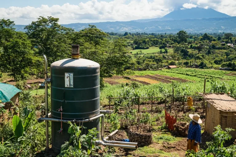 Biodigestor, cómo funciona y beneficios del biogás y biofertilizante que produce