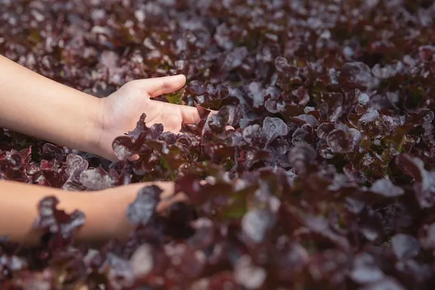 Cómo hacer fertilizante de algas para tu jardín en Guatemala