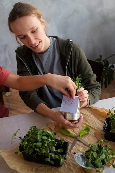 cómo mejorar y automatizar el purín de ortiga o cualquier extracto fermentado para jardines más saludables