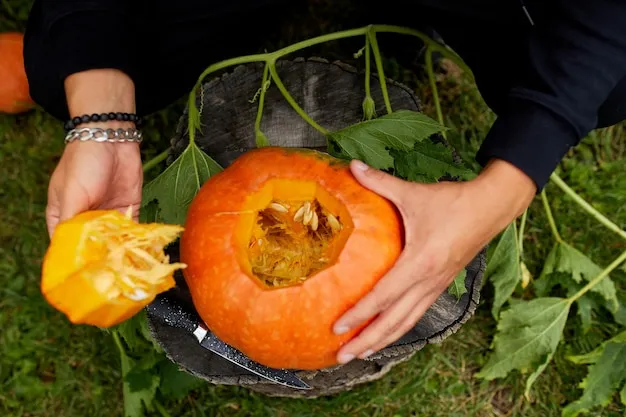 cómo polinizar manualmente la calabaza y obtener más frutos