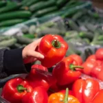 Cómo proteger los pimientos en primavera, consejos útiles para tu huerto