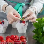 Cómo reproducir fresas por estolón, técnicas efectivas