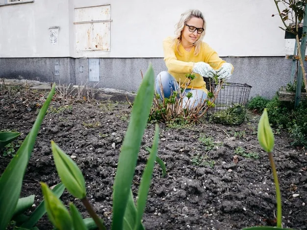 cómo usar el agua oxigenada en el huerto como fertilizante