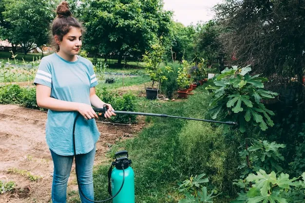 Cómo usar el agua oxigenada en el huerto como fertilizante