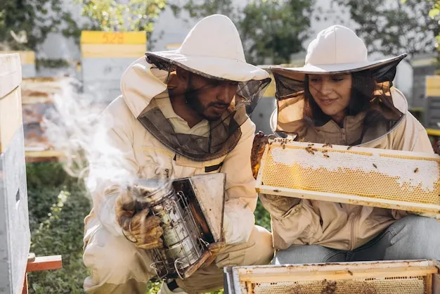 conoce la vida de las abejas y su importancia en el huerto