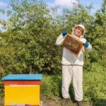 Conoce la vida de las abejas y su importancia en el huerto