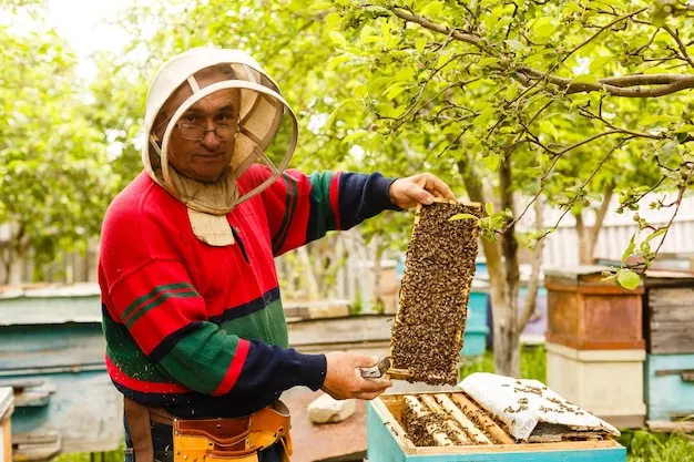 conoce la vida de las abejas y su importancia en el huerto