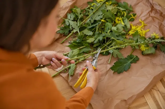 Decocción de hierbas y plantas en Guatemala, aprende qué es y cómo se prepara