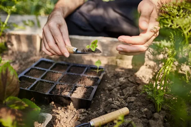 diferentes estiércoles en el huerto, usos y sus ventajas para un cultivo saludable