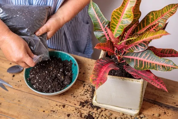 dónde comprar humus de lombriz en guatemala para enriquecer tu jardín