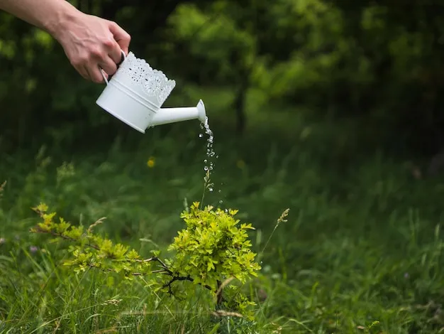 exceso de agua y cómo detectar que estamos regando demasiado nuestras plantas