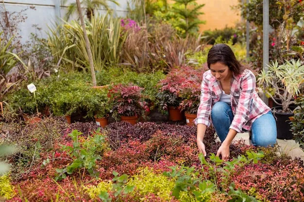 Fertilizante NPK gratis, casero y ecológico para tu huerto en Guatemala