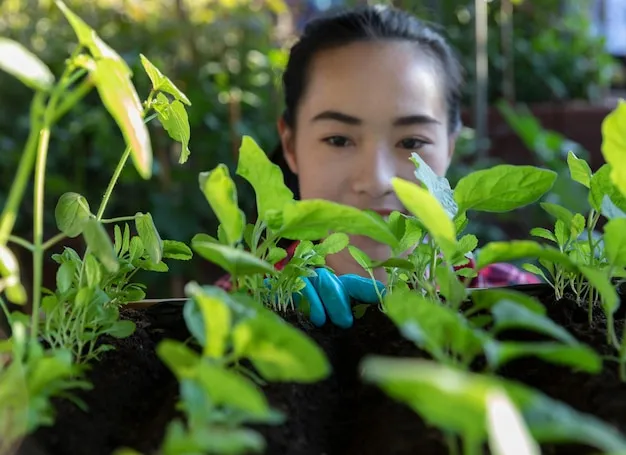 nutrientes de las plantas y sus funciones, entendiendo su importancia