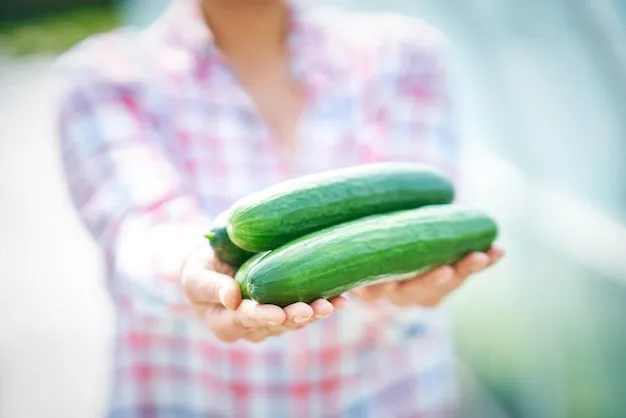 Por qué el calabacín o calabaza no da flores hembra, entendiendo su ciclo reproductivo