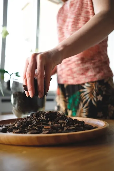 té de compost, cómo preparar este fertilizante esencial para tu huerto