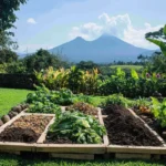 Todo lo que necesitas saber para hacer una pila de compost en casa