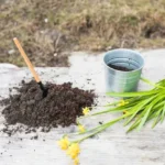 Usos de la ceniza en el huerto y el jardín, beneficios naturales